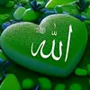 qurani_peroz9