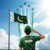 cricketnomi5
