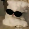 kevinhola04