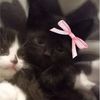 .ethanm_
