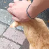 dopamineneeder