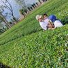 aufar_arsyah