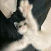 camtuhihi