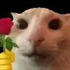 jonnyboimyass