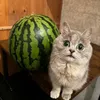 kiishmishka