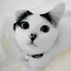 Pwe Hui