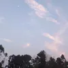 dieulinh7222