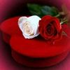 user7695016028199