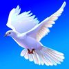 user2841524084143