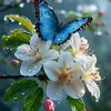 _firs_22