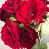 zelall042_