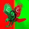 hassankhan67962