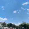 tpanhpeo