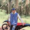 limar20111