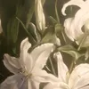 nsjdjd_4