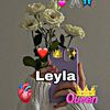 user2197233741939