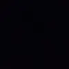 dylan_8903