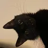 akumille_