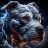 endbsl24