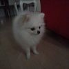 useru17vb2vbbe