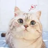 immeii10