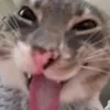 capybagirl25