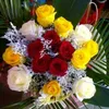 lilyw128
