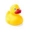 riskfreeduck4