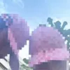 kaled_dz31