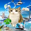 meowl89912