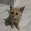 leonnzzzy