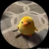 usermzocaq9jlm
