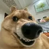 userh86vgxuv3c