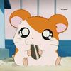 rinyunaar2