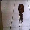 wjhshs8228