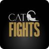 latcatfights