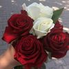 useru92cioudld