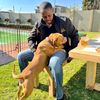 _bella_the_bully