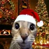 jeandasilva1n