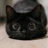 cutie_ling