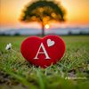 shinealexander31