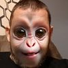 jonathan.vaughn54