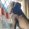 sparklesbaby12