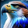 edrismustafa03