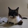 msssky