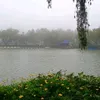 danajjj04