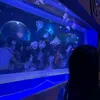 kem_qiyn237