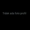 dianbot12
