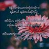 micho_123_