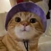 mon.mik